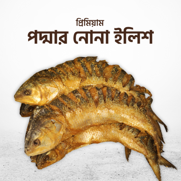 nona ilish